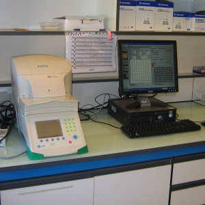RT-PCR